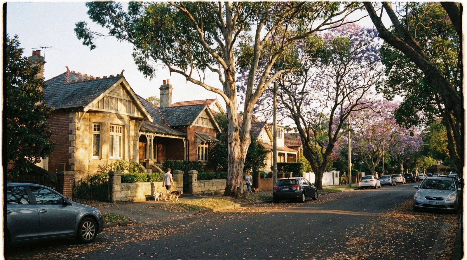 North Shore Sydney street